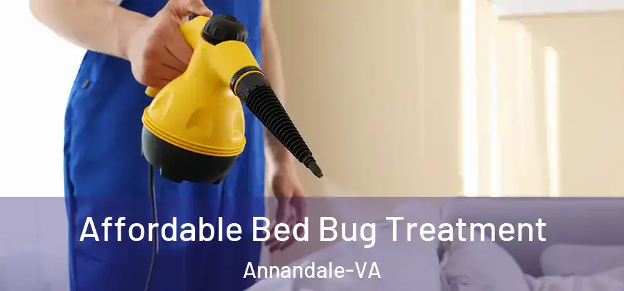  Affordable Bed Bug Treatment Annandale-VA