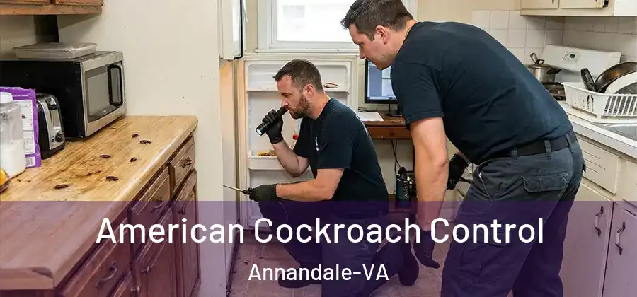  American Cockroach Control Annandale-VA