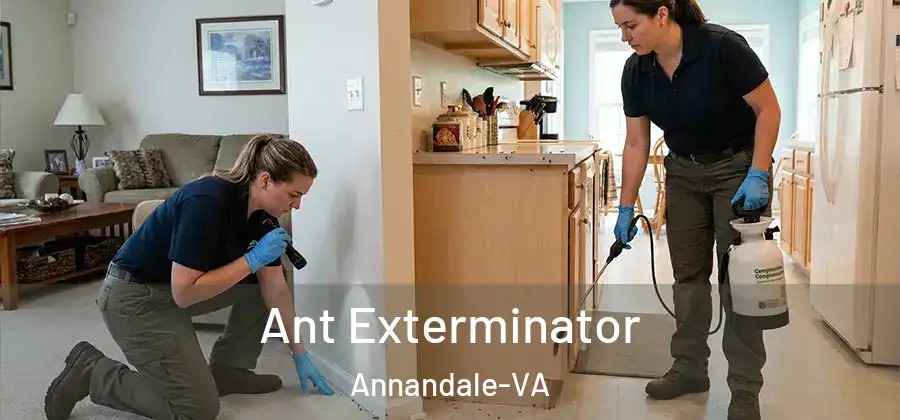  Ant Exterminator Annandale-VA