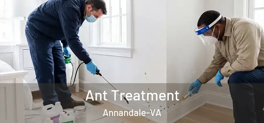  Ant Treatment Annandale-VA