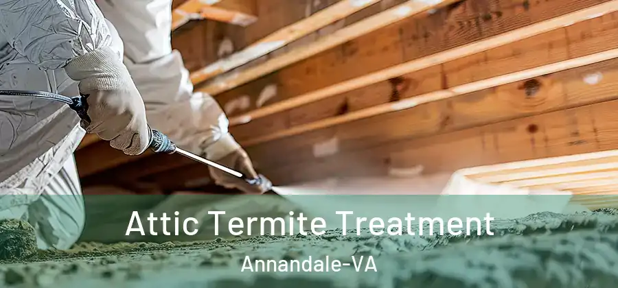  Attic Termite Treatment Annandale-VA