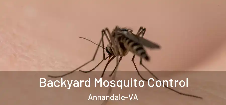 Backyard Mosquito Control Annandale-VA
