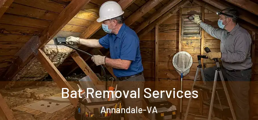  Bat Removal Services Annandale-VA