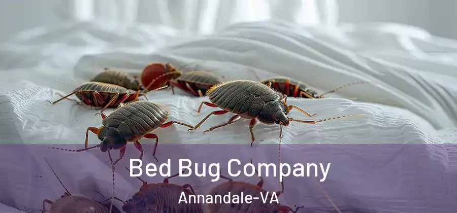  Bed Bug Company Annandale-VA