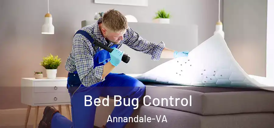  Bed Bug Control Annandale-VA