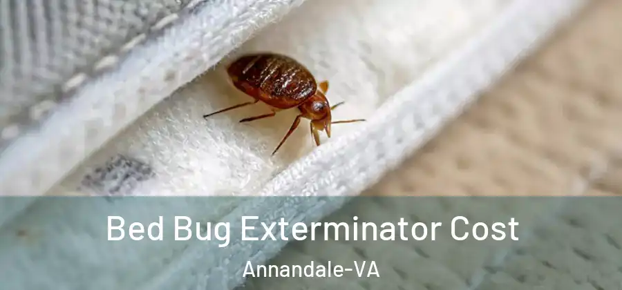  Bed Bug Exterminator Cost Annandale-VA