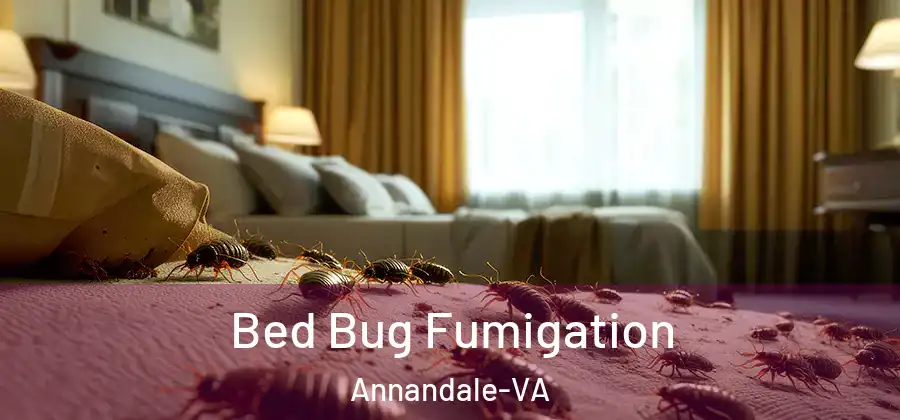  Bed Bug Fumigation Annandale-VA