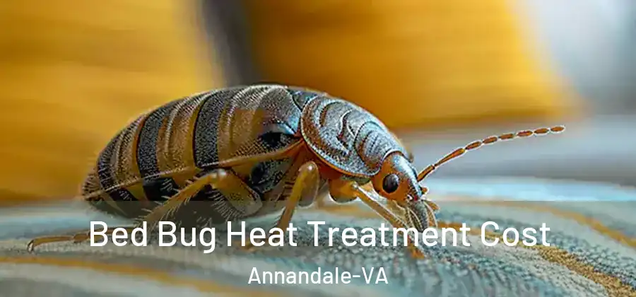 Bed Bug Heat Treatment Cost Annandale-VA