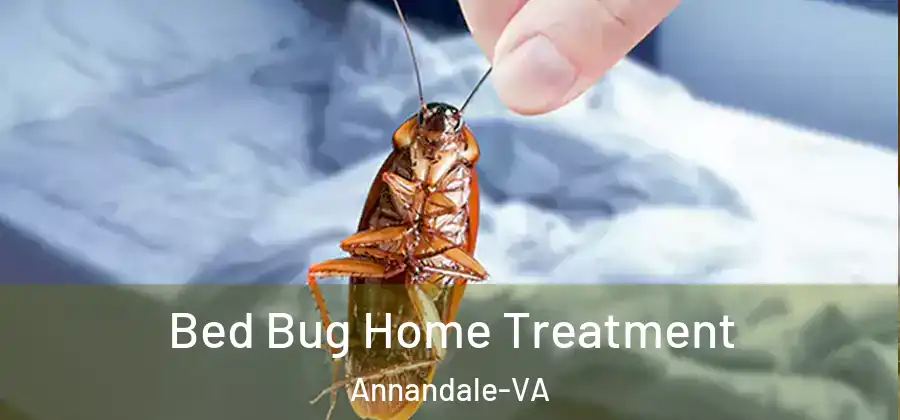 Bed Bug Home Treatment Annandale-VA