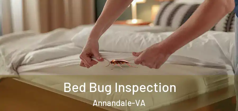 Bed Bug Inspection Annandale-VA