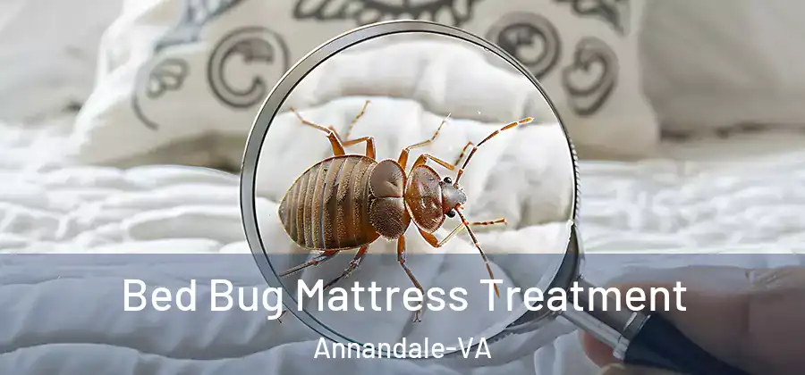  Bed Bug Mattress Treatment Annandale-VA
