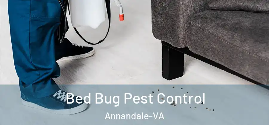 Bed Bug Pest Control Annandale-VA