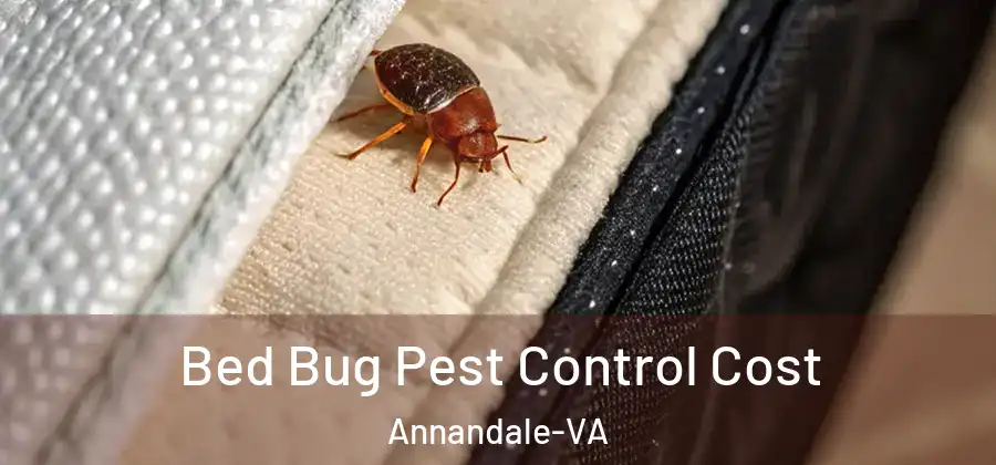 Bed Bug Pest Control Cost Annandale-VA