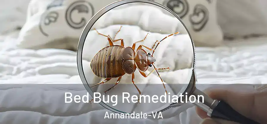  Bed Bug Remediation Annandale-VA