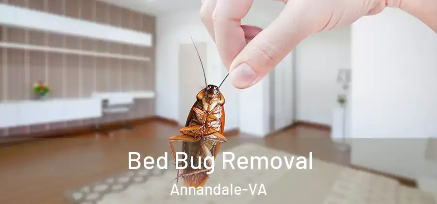 Bed Bug Removal Annandale-VA