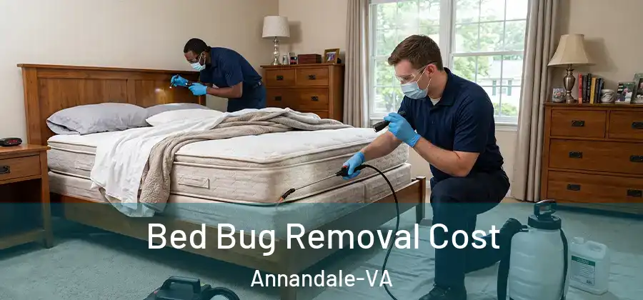 Bed Bug Removal Cost Annandale-VA