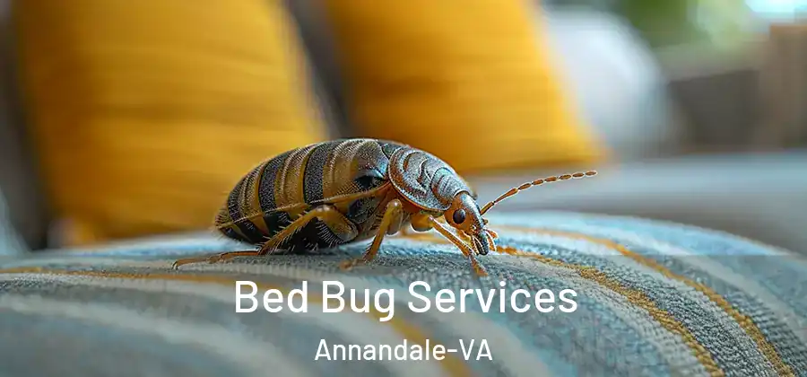  Bed Bug Services Annandale-VA