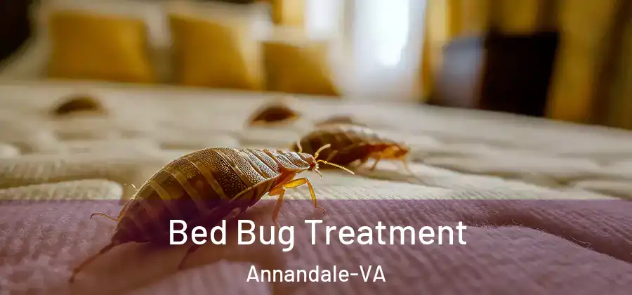  Bed Bug Treatment Annandale-VA