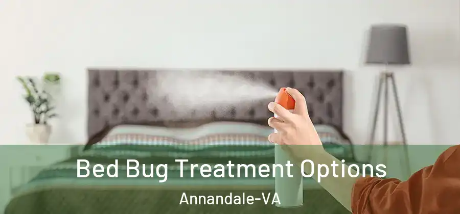  Bed Bug Treatment Options Annandale-VA