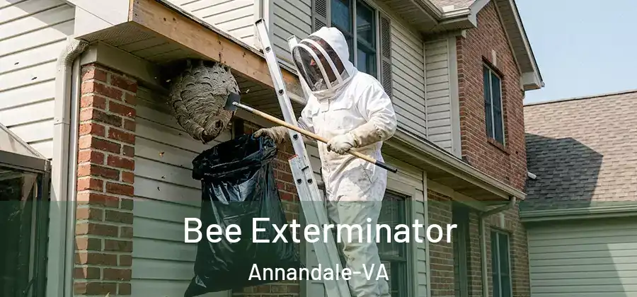  Bee Exterminator Annandale-VA