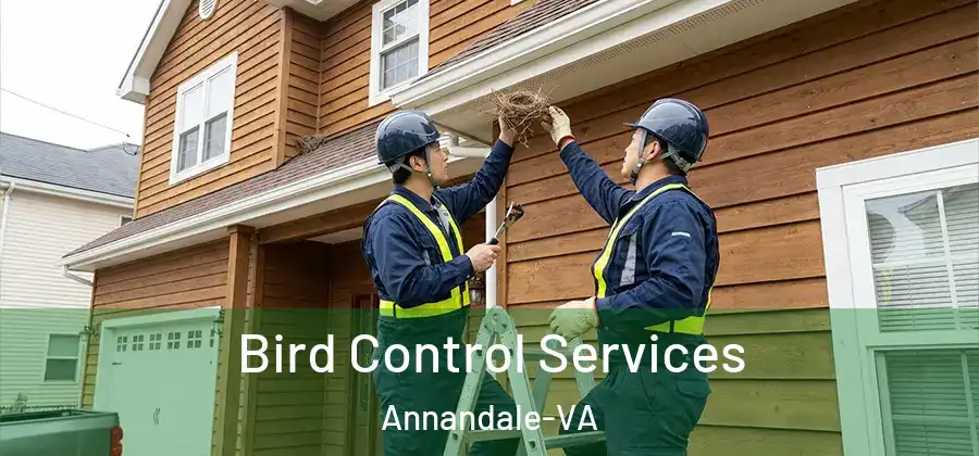  Bird Control Services Annandale-VA
