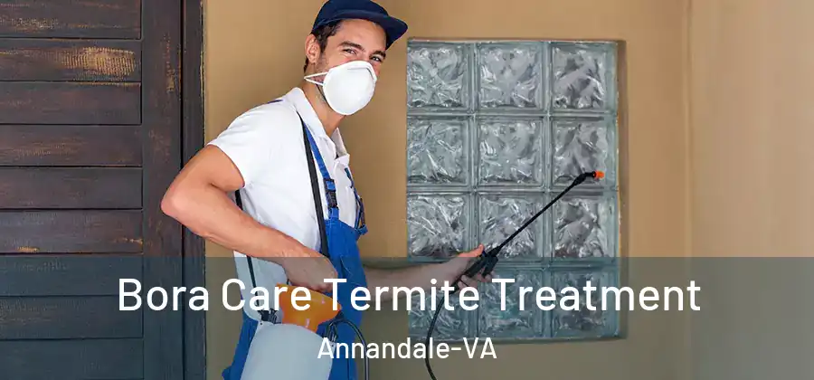  Bora Care Termite Treatment Annandale-VA