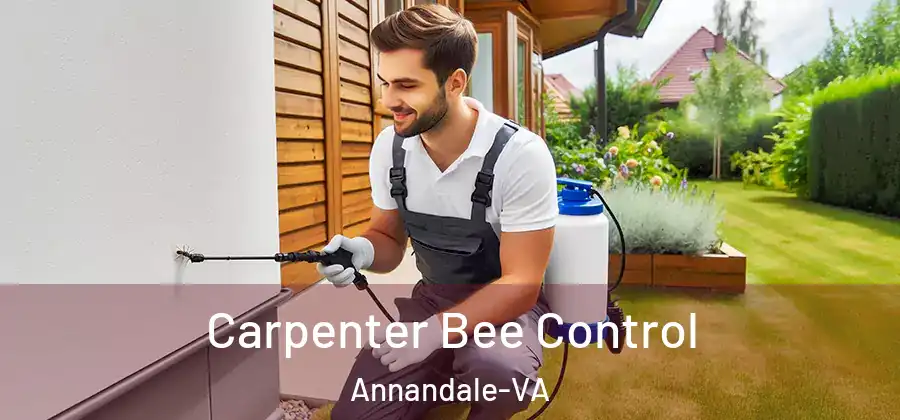 Carpenter Bee Control Annandale-VA
