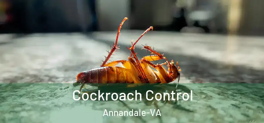  Cockroach Control Annandale-VA