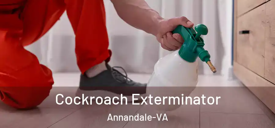  Cockroach Exterminator Annandale-VA