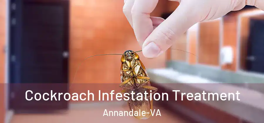  Cockroach Infestation Treatment Annandale-VA