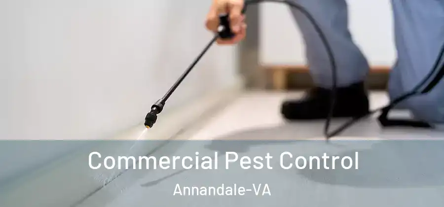 Commercial Pest Control Annandale-VA