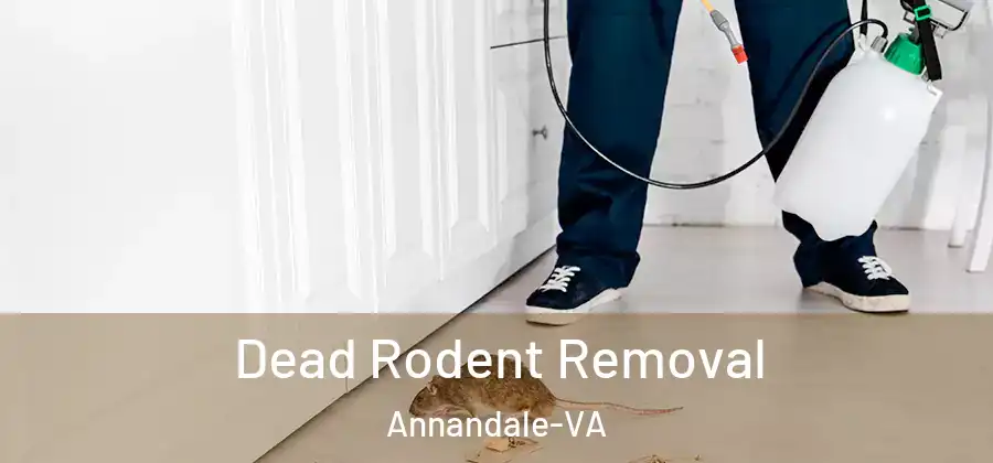  Dead Rodent Removal Annandale-VA