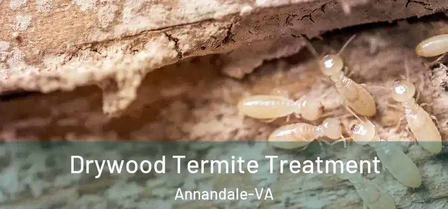  Drywood Termite Treatment Annandale-VA