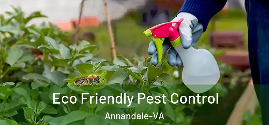  Eco Friendly Pest Control Annandale-VA