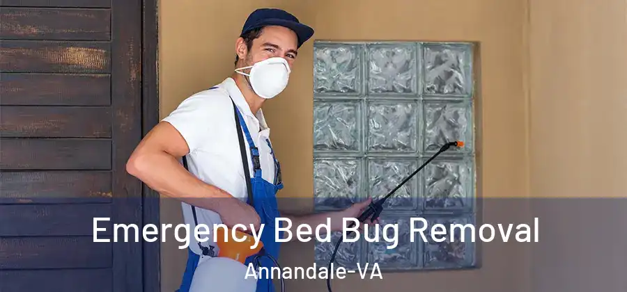 Emergency Bed Bug Removal Annandale-VA