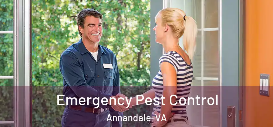 Emergency Pest Control Annandale-VA