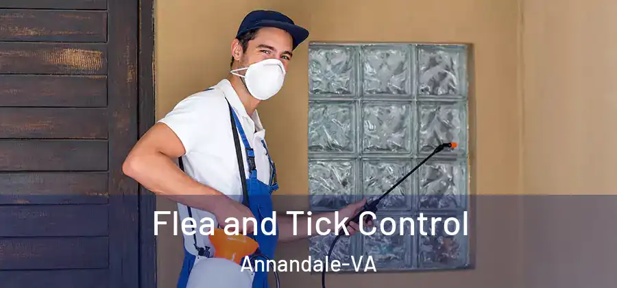 Flea and Tick Control Annandale-VA
