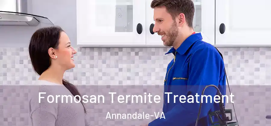  Formosan Termite Treatment Annandale-VA