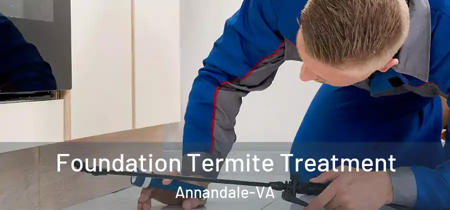  Foundation Termite Treatment Annandale-VA