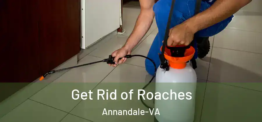  Get Rid of Roaches Annandale-VA