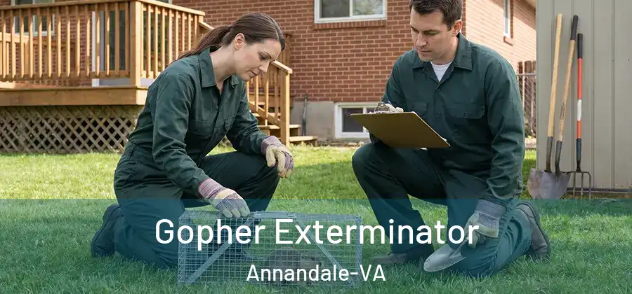 Gopher Exterminator Annandale-VA
