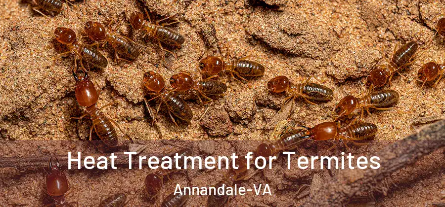  Heat Treatment for Termites Annandale-VA
