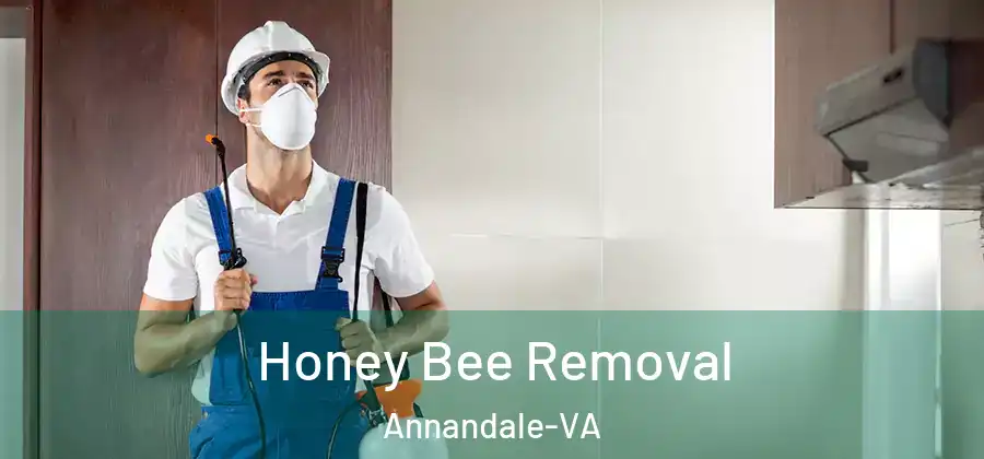  Honey Bee Removal Annandale-VA