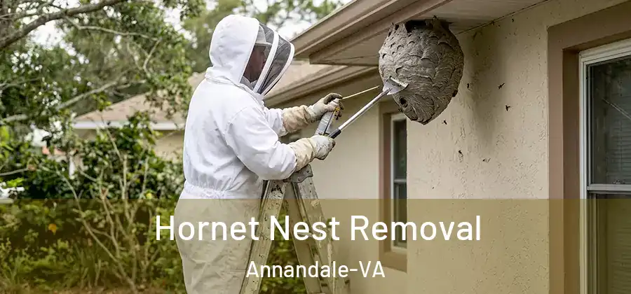 Hornet Nest Removal Annandale-VA