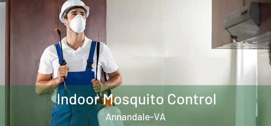 Indoor Mosquito Control Annandale-VA