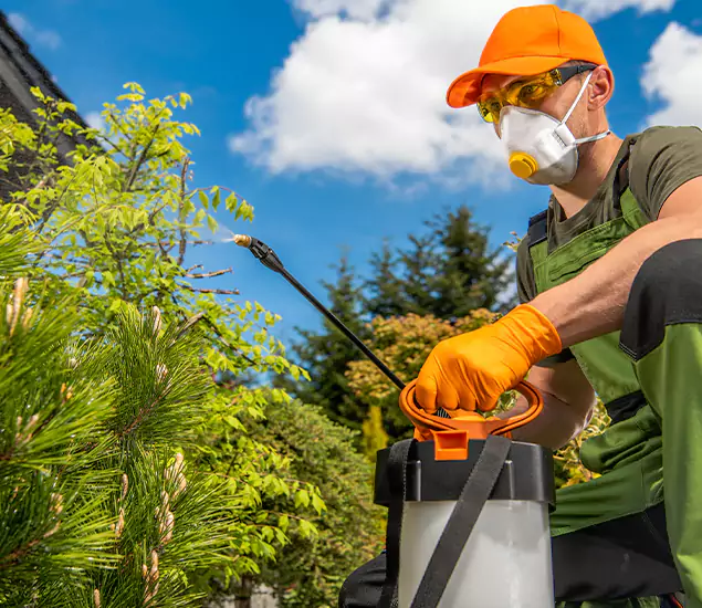 Your Mosquito Repellent Barrier Service in Annandale, VA