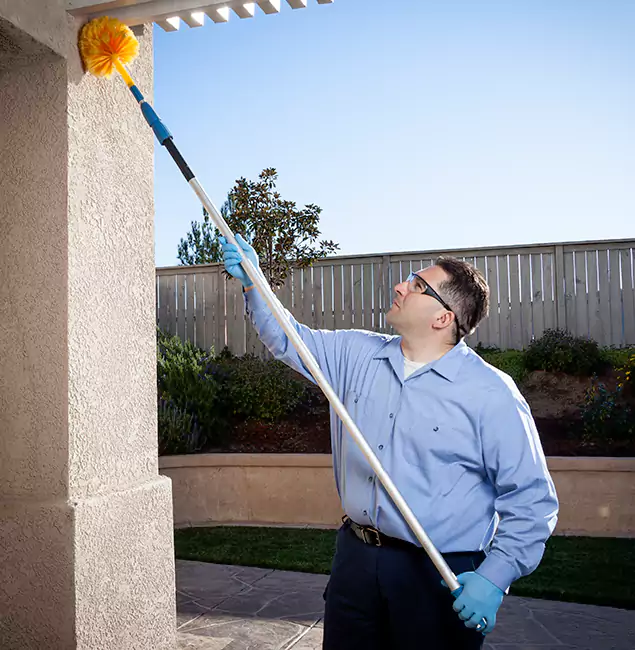 Why Choose Annandale Pest Control Pro for Foundation Termite Treatment in Annandale, VA?