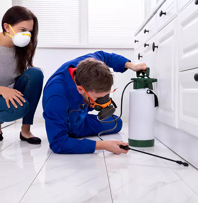 Why Annandale, VA Homeowners Trust Annandale Pest Control Pro for Roach Control?