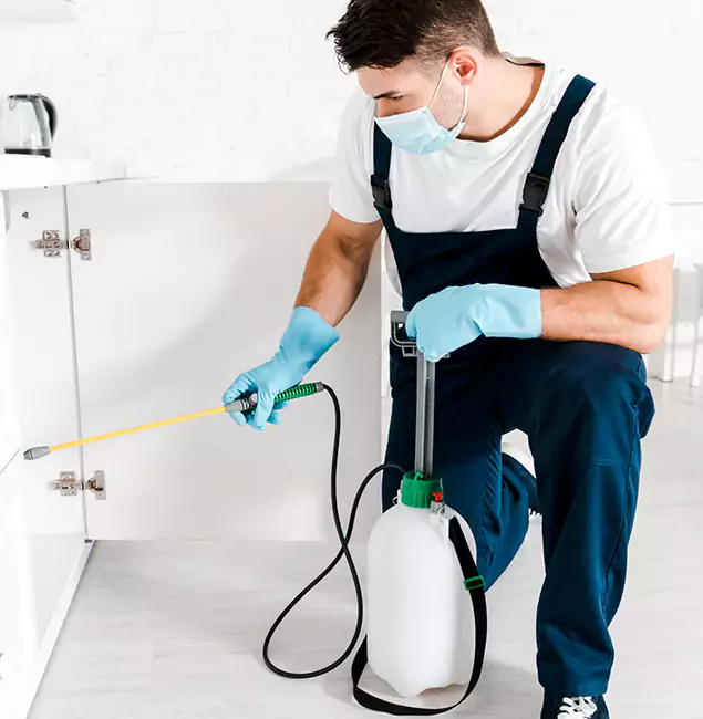 Why Choose Annandale Pest Control Pro for Indoor Pest Control in Annandale, VA?