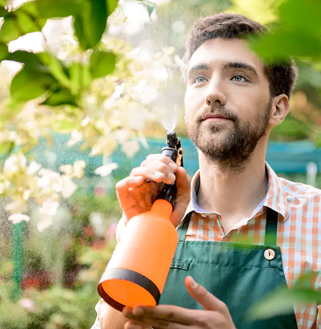 Why Annandale Homeowners Call Annandale Pest Control Pro for Mosquitoes in House?